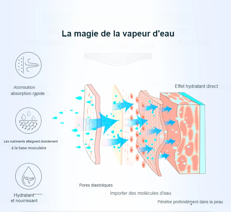 Humidificateur à Vapeur Rajeunissant