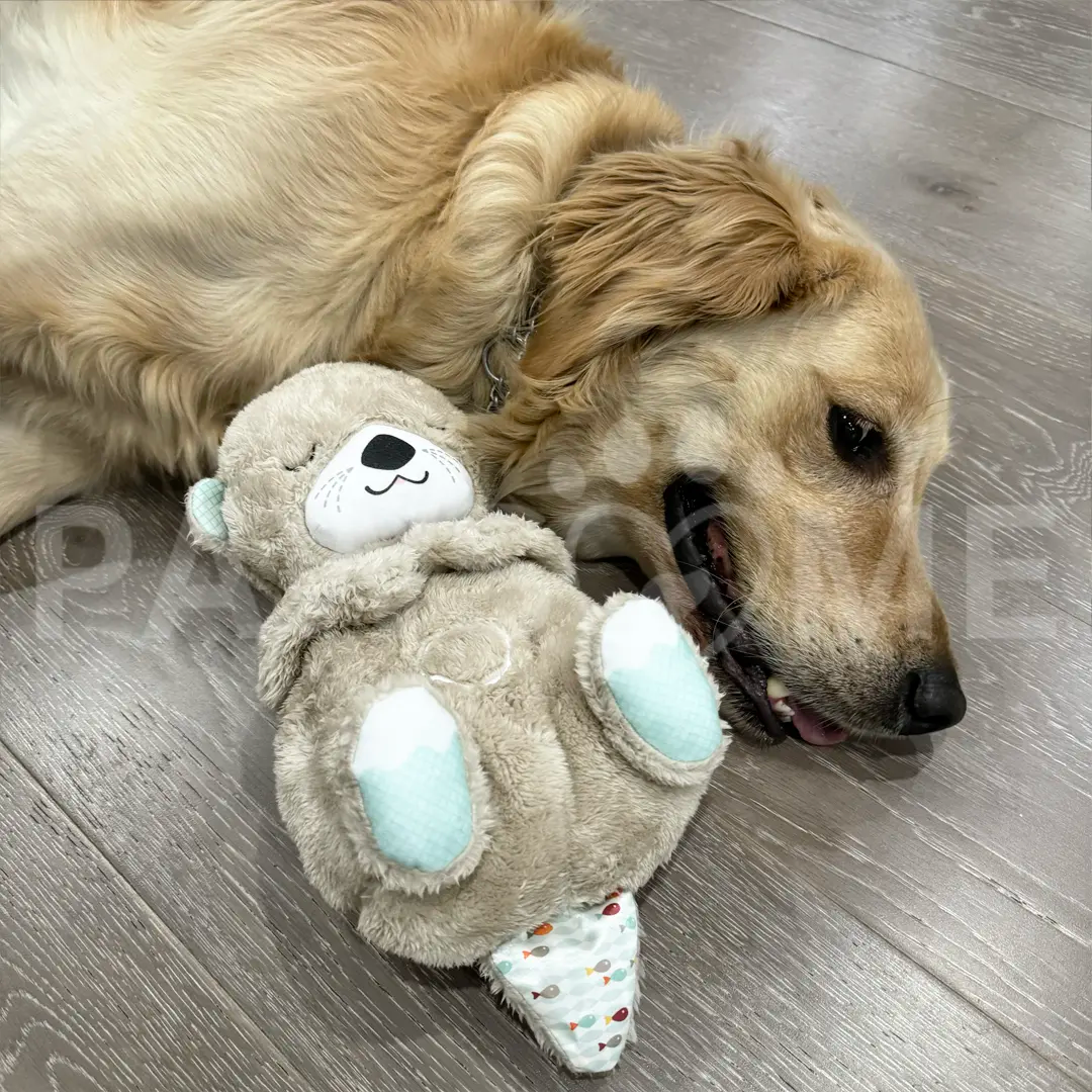 Peluches Apaisantes pour Chiens