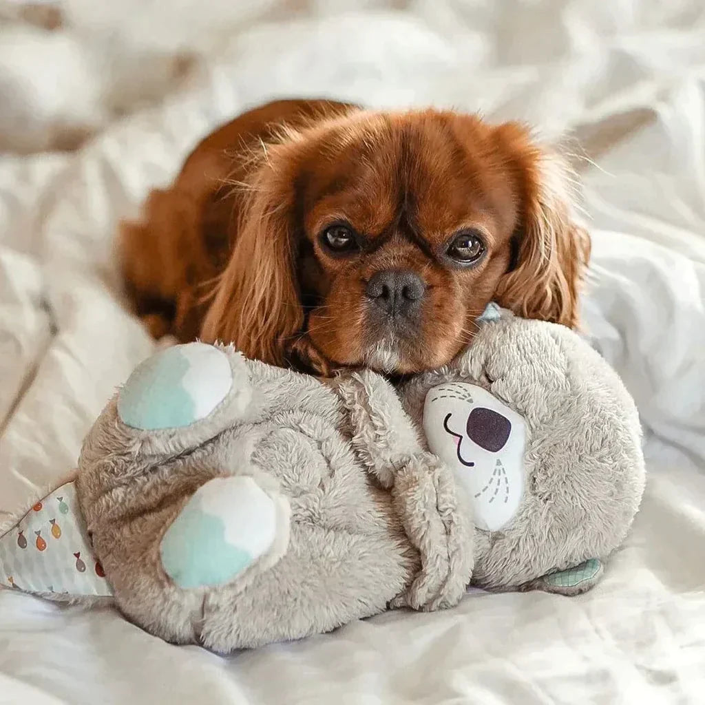 Peluches Apaisantes pour Chiens