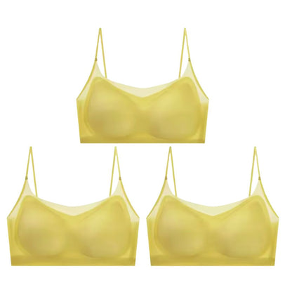 Menopause Bra 2.0