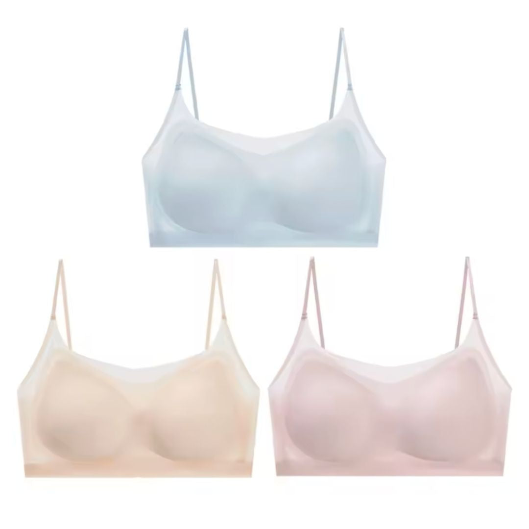 Menopause Bra 2.0