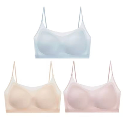 Menopause Bra 2.0