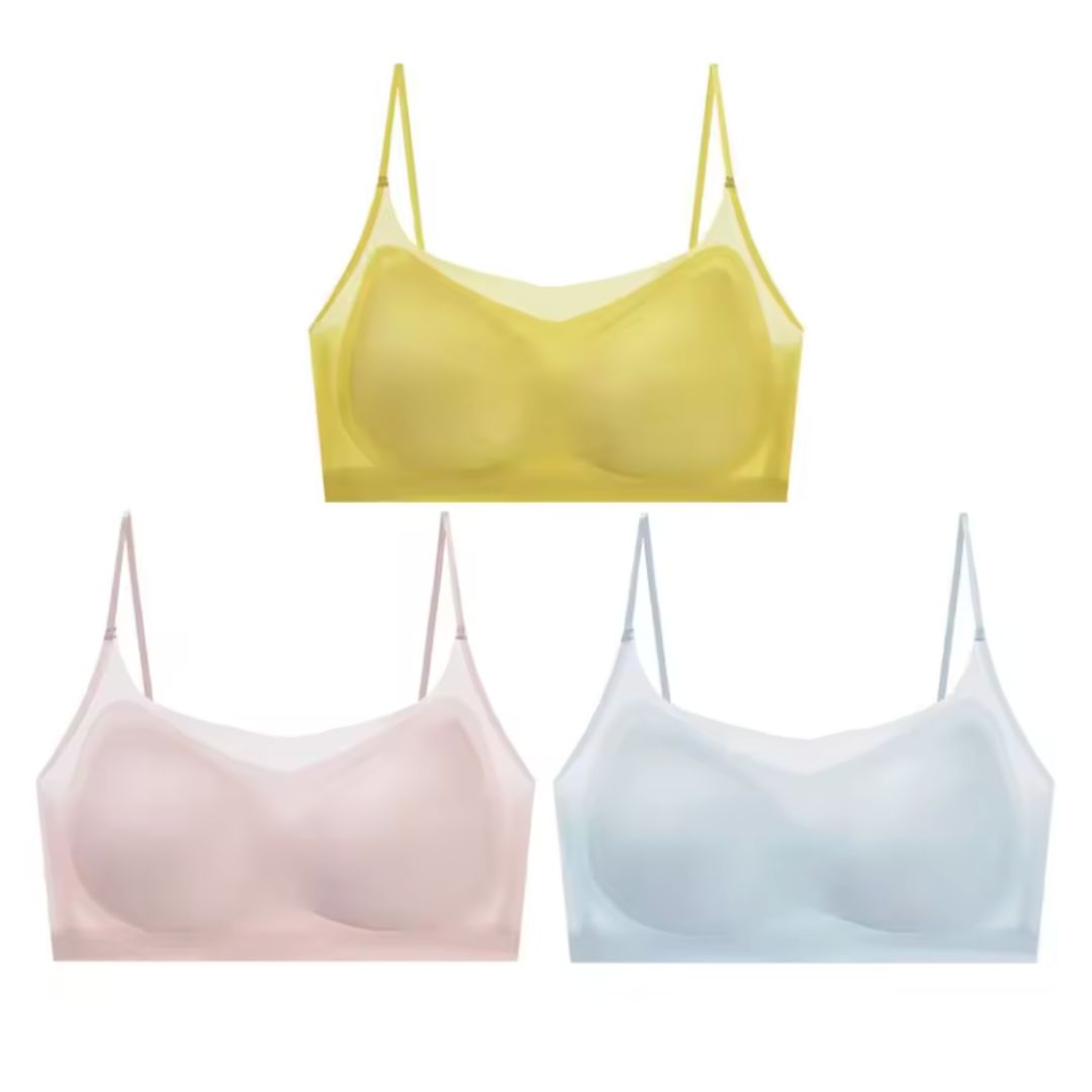 Menopause Bra 2.0