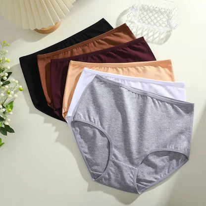 Menopause High Waist Underwear