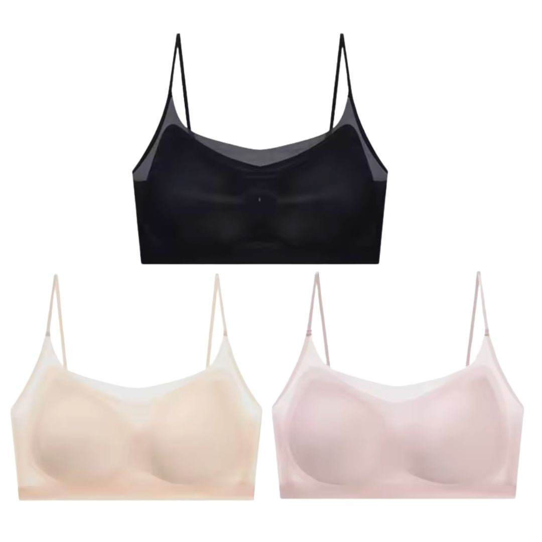 Menopause Bra 2.0
