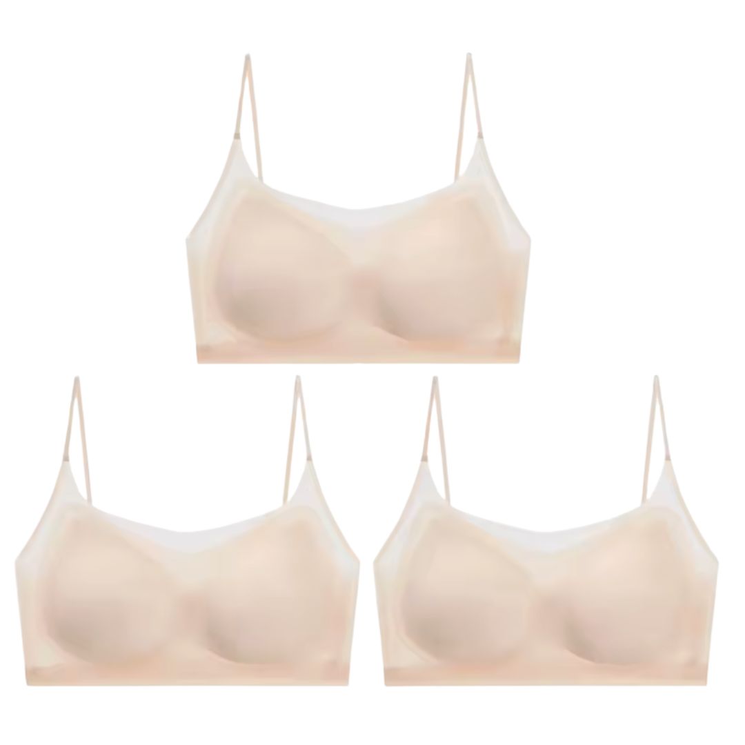 Menopause Bra 2.0