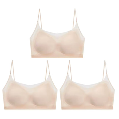 Menopause Bra 2.0