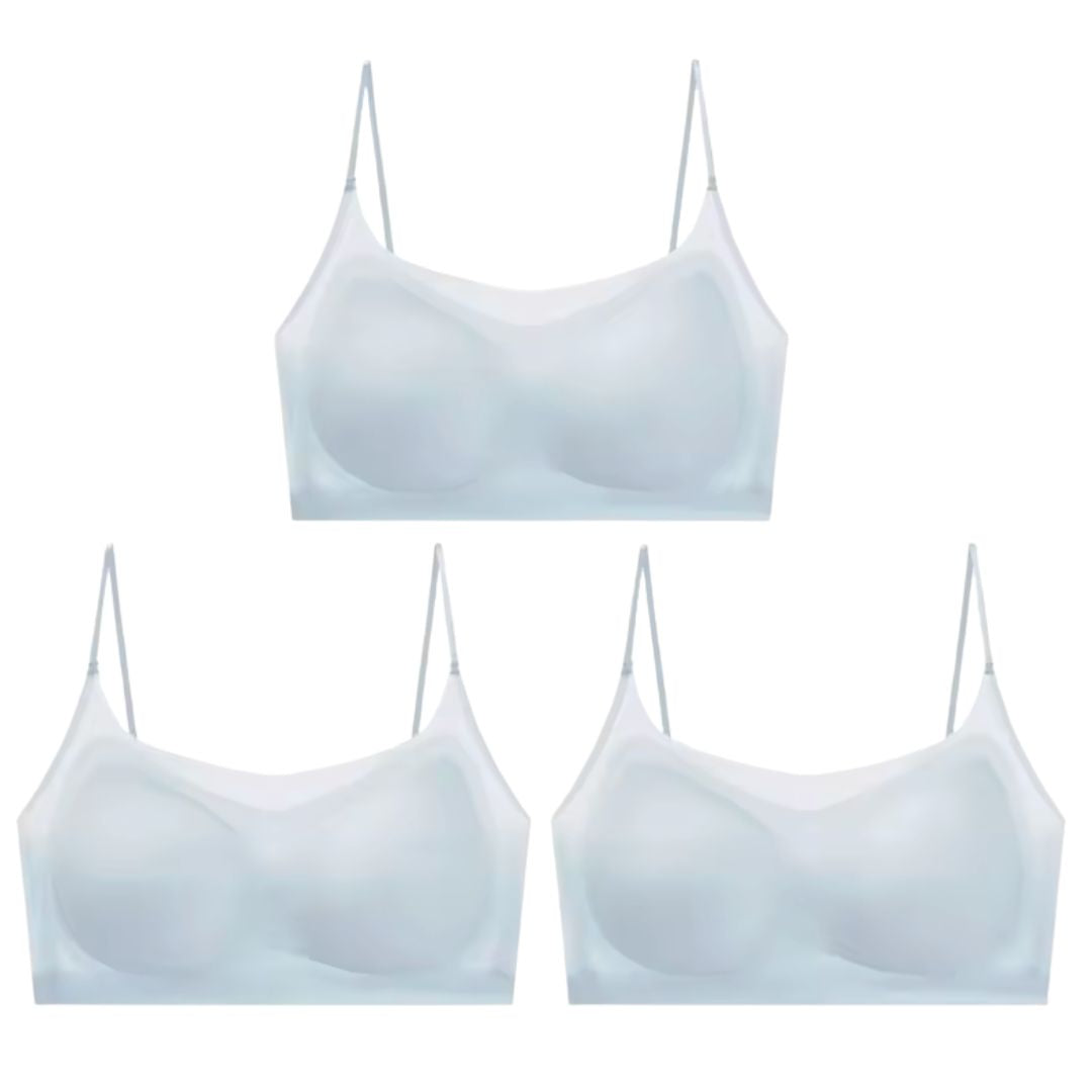 Menopause Bra 2.0