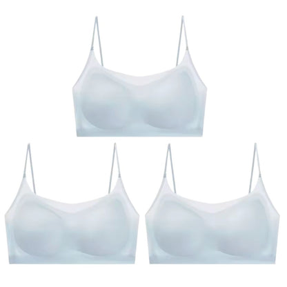 Menopause Bra 2.0